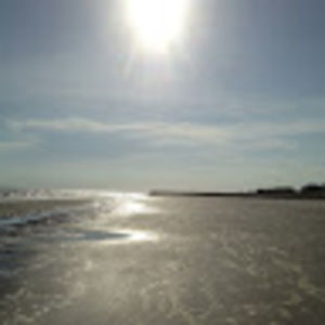 Meet your Posher, Lindsay